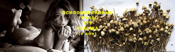 герыч Пересвет