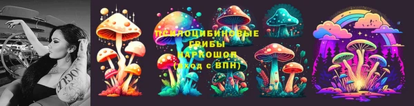 герыч Пересвет