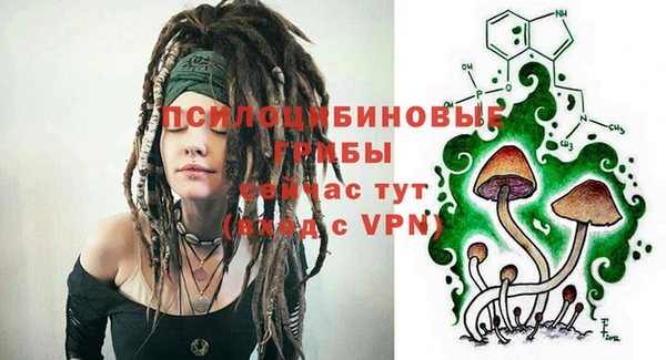 герыч Пересвет