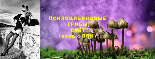герыч Пересвет