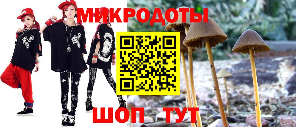 Псилоцибиновые грибы Cubensis Рославль