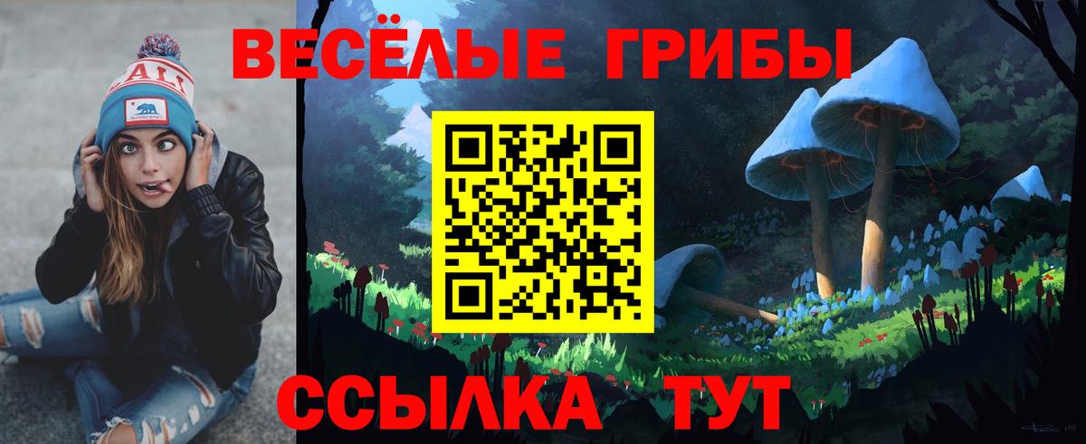 Галлюциногенные грибы прущие грибы  где можно купить наркотик  Рославль 