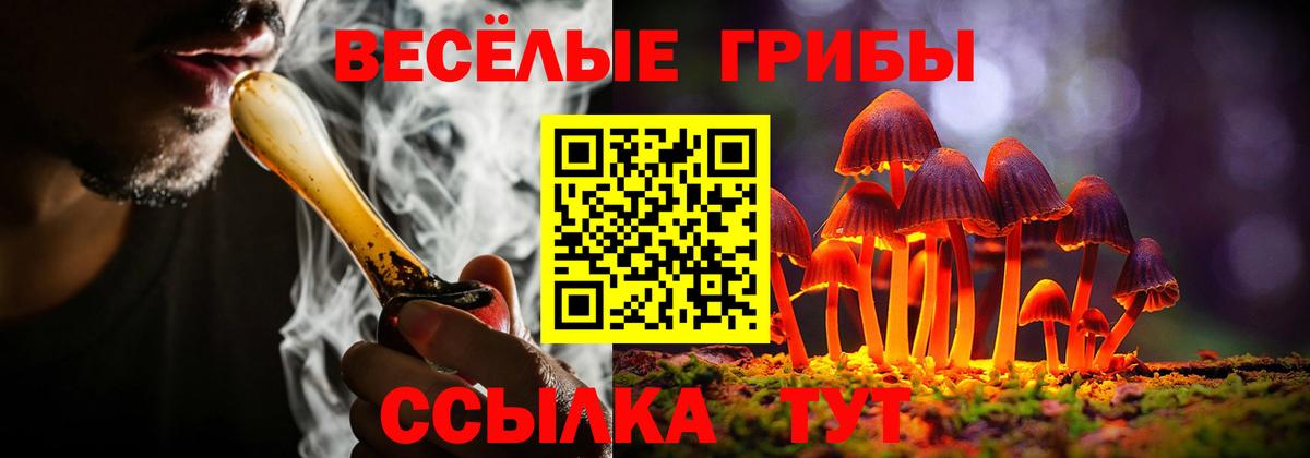 Псилоцибиновые грибы MAGIC MUSHROOMS  Вход с VPN  Галлюциногенные грибы Magic Shrooms  наркотики  Рославль 